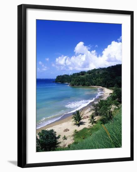 Bloody Bay, Tobago, Caribbean-Angelo Cavalli-Framed Photographic Print