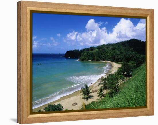 Bloody Bay, Tobago, Caribbean-Angelo Cavalli-Framed Premier Image Canvas