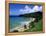 Bloody Bay, Tobago, Caribbean-Angelo Cavalli-Framed Premier Image Canvas