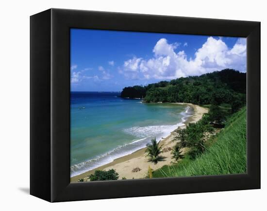 Bloody Bay, Tobago, Caribbean-Angelo Cavalli-Framed Premier Image Canvas
