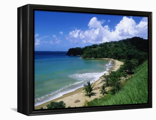 Bloody Bay, Tobago, Caribbean-Angelo Cavalli-Framed Premier Image Canvas