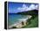 Bloody Bay, Tobago, Caribbean-Angelo Cavalli-Framed Premier Image Canvas