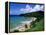 Bloody Bay, Tobago, Caribbean-Angelo Cavalli-Framed Premier Image Canvas