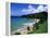 Bloody Bay, Tobago, Caribbean-Angelo Cavalli-Framed Premier Image Canvas