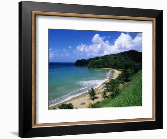 Bloody Bay, Tobago, Caribbean-Angelo Cavalli-Framed Photographic Print