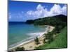 Bloody Bay, Tobago, Caribbean-Angelo Cavalli-Mounted Photographic Print