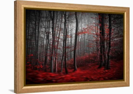 Bloody River-Samanta-Framed Premier Image Canvas