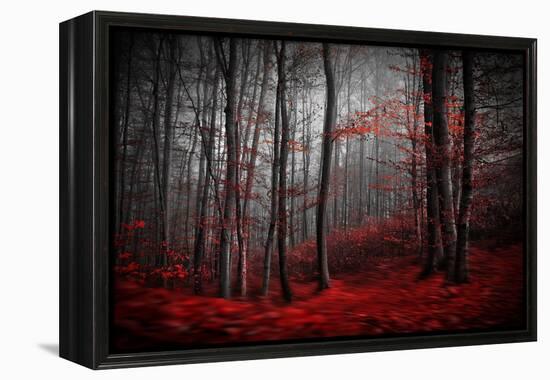 Bloody River-Samanta-Framed Premier Image Canvas