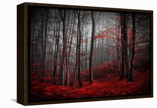 Bloody River-Samanta-Framed Premier Image Canvas