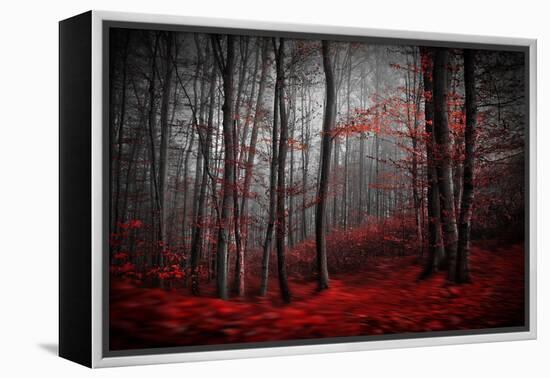 Bloody River-Samanta-Framed Premier Image Canvas