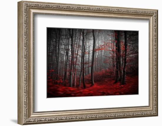 Bloody River-Samanta-Framed Photographic Print