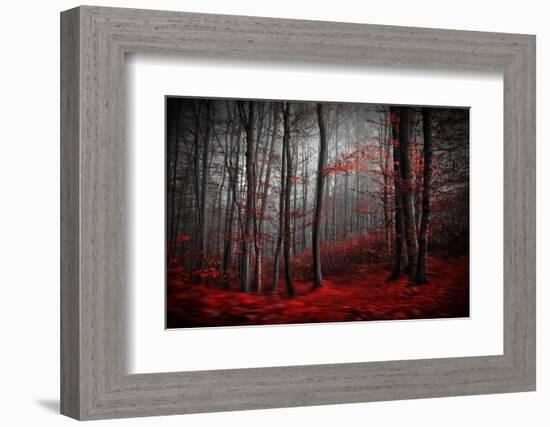 Bloody River-Samanta-Framed Photographic Print