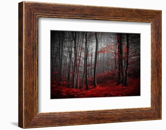 Bloody River-Samanta-Framed Photographic Print