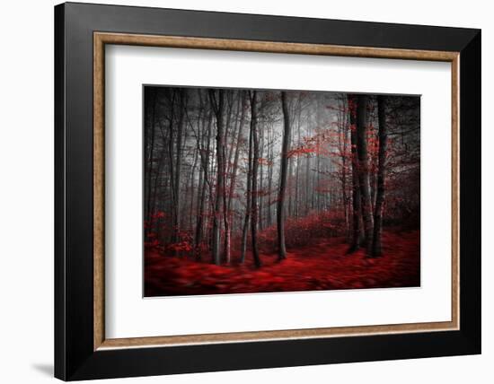 Bloody River-Samanta-Framed Photographic Print