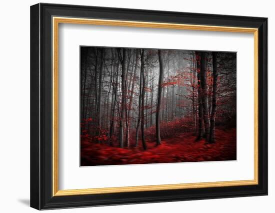 Bloody River-Samanta-Framed Photographic Print