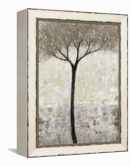 Bloom I-Tim O'toole-Framed Stretched Canvas