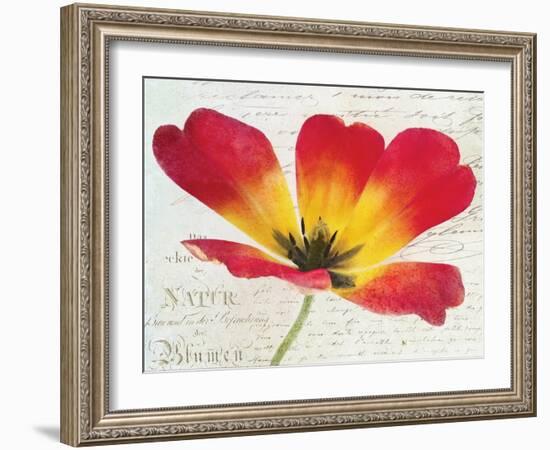 Bloom I-Amy Melious-Framed Art Print