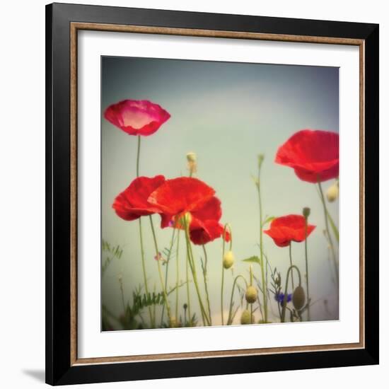 Bloom I-Amy Melious-Framed Art Print