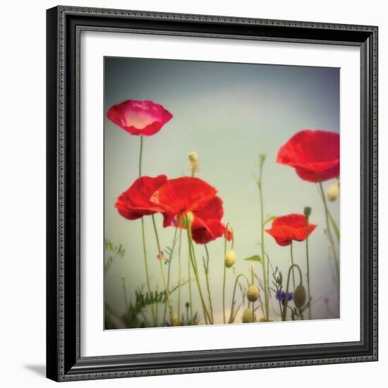 Bloom I-Amy Melious-Framed Art Print