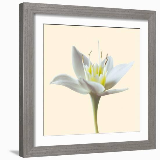 Bloom II-Max Carter-Framed Giclee Print