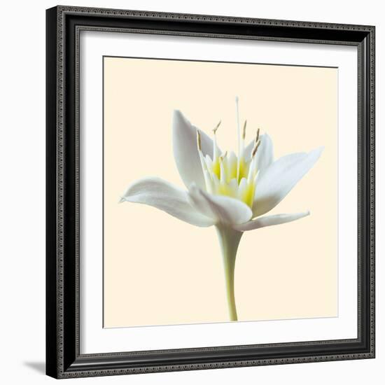 Bloom II-Max Carter-Framed Giclee Print