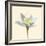 Bloom II-Max Carter-Framed Giclee Print