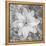 Bloom II-Kathy Mahan-Framed Premier Image Canvas