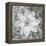 Bloom II-Kathy Mahan-Framed Premier Image Canvas