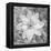 Bloom II-Kathy Mahan-Framed Premier Image Canvas