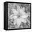 Bloom II-Kathy Mahan-Framed Premier Image Canvas