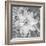 Bloom II-Kathy Mahan-Framed Photographic Print