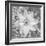 Bloom II-Kathy Mahan-Framed Photographic Print