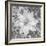 Bloom II-Kathy Mahan-Framed Photographic Print