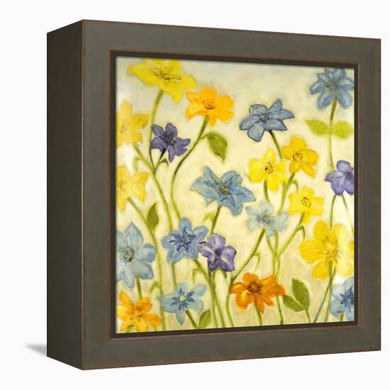 Bloom II-Randy Hibberd-Framed Stretched Canvas