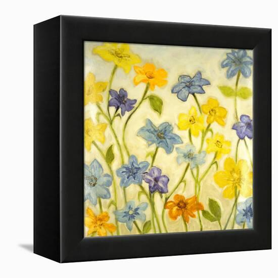 Bloom II-Randy Hibberd-Framed Stretched Canvas