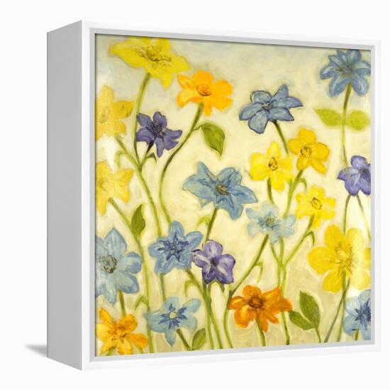 Bloom II-Randy Hibberd-Framed Stretched Canvas