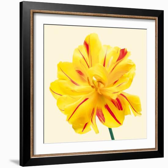 Bloom III-Max Carter-Framed Giclee Print