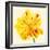 Bloom III-Max Carter-Framed Giclee Print