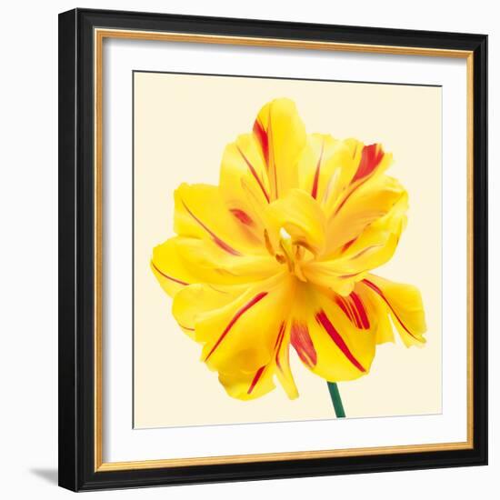 Bloom III-Max Carter-Framed Giclee Print