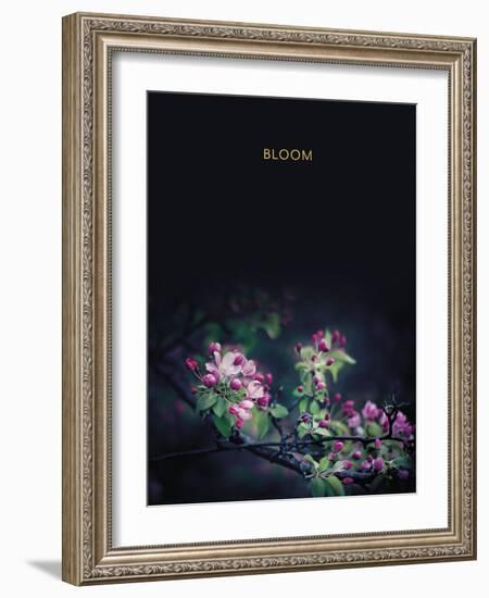 Bloom - Luxe-Irene Suchocki-Framed Giclee Print