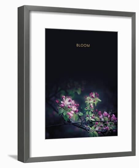 Bloom - Luxe-Irene Suchocki-Framed Giclee Print