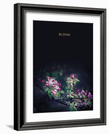 Bloom - Luxe-Irene Suchocki-Framed Giclee Print