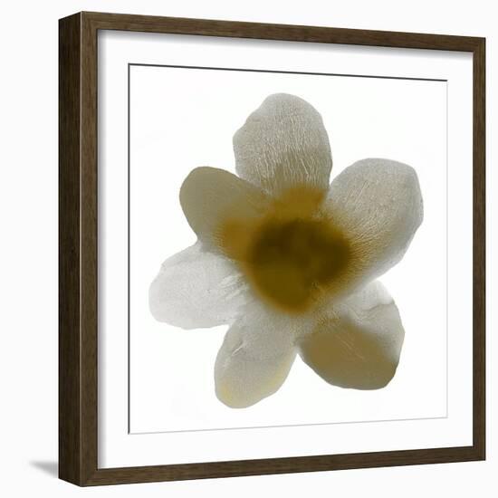 Bloom Taupe I-Hannah Carlson-Framed Art Print