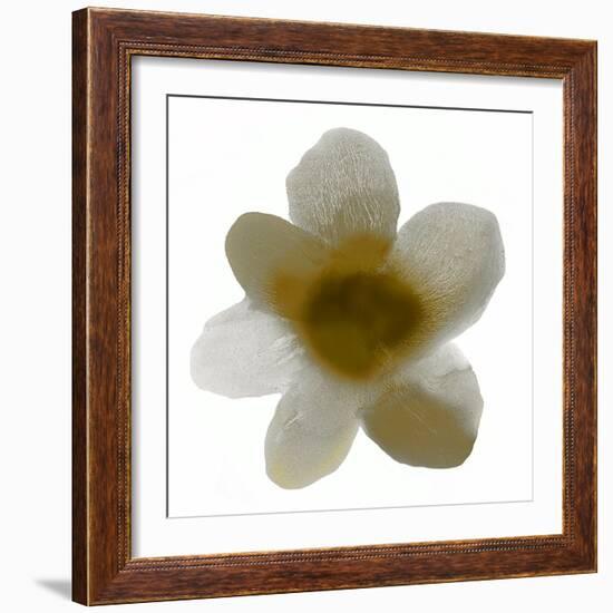 Bloom Taupe I-Hannah Carlson-Framed Art Print