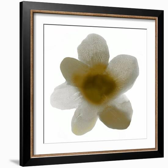 Bloom Taupe I-Hannah Carlson-Framed Art Print