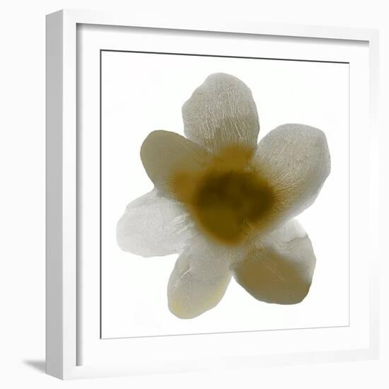 Bloom Taupe I-Hannah Carlson-Framed Art Print