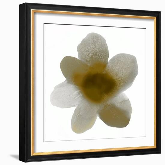 Bloom Taupe I-Hannah Carlson-Framed Art Print