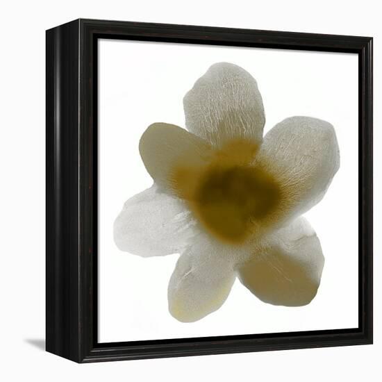 Bloom Taupe I-Hannah Carlson-Framed Stretched Canvas