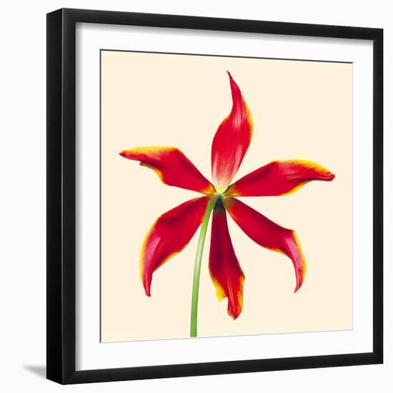 Bloom V-Max Carter-Framed Giclee Print