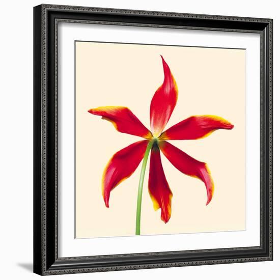 Bloom V-Max Carter-Framed Giclee Print